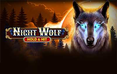 Night Wolf - Hold & Hit