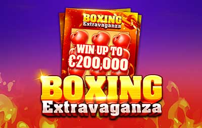 Boxing Extravaganza