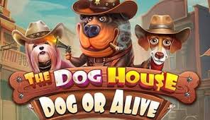 The Dog House - Dog or Alive